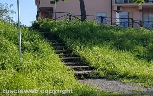 Viterbo - Degrado al parco in via Cattaneo