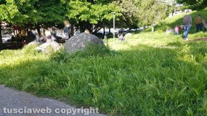 Viterbo - Degrado al parco in via Cattaneo