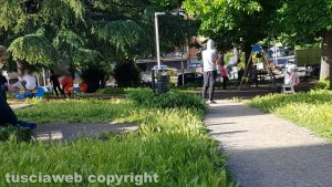 Viterbo - Degrado al parco in via Cattaneo
