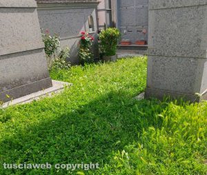 Erba alta al cimitero di Grotte Santo Stefano