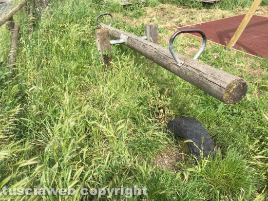 Viterbo - Erba alta Erba alta nel giardinetto a Tobia