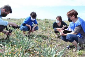 Fiumicino - Enea e studenti dell’università della Tuscia e di Roma impegnati nel monitoraggio microplastiche