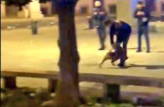 Milano - Aizza il pitbull contro i carabinieri