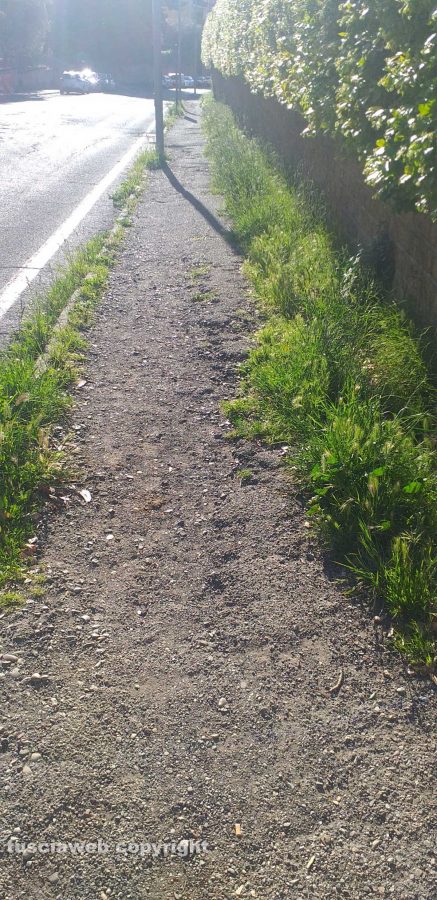 Viterbo - Strada piena di buche a Via della Pila