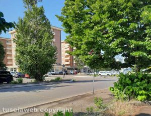 Viterbo - Erba alta al Riello