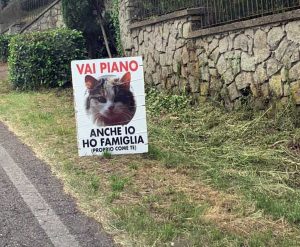 Viterbo - I cartelli in Strada Romana