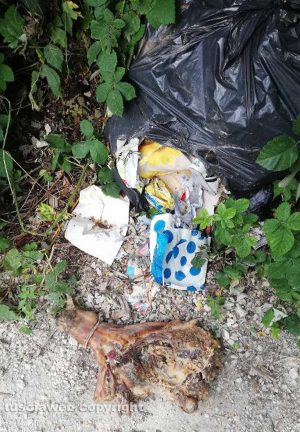 Rifiuti abbandonati in strada Riello