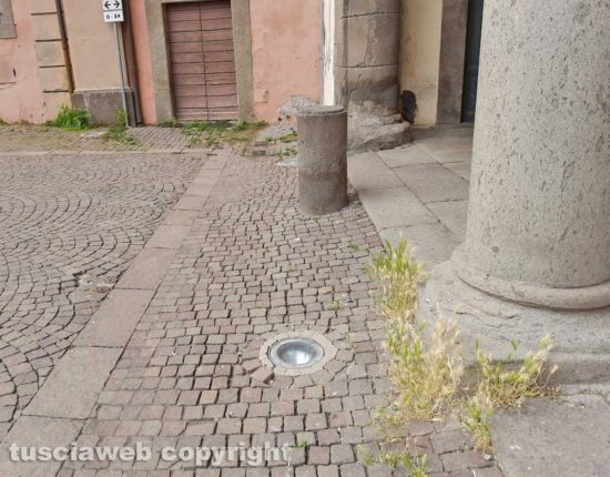 Viterbo - Erba a piazza del Comune