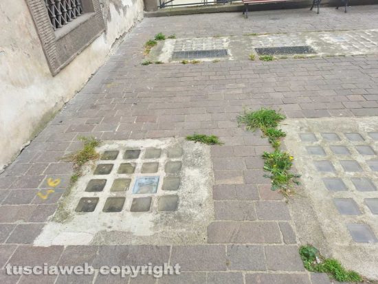 Viterbo - Erba a piazza del Comune