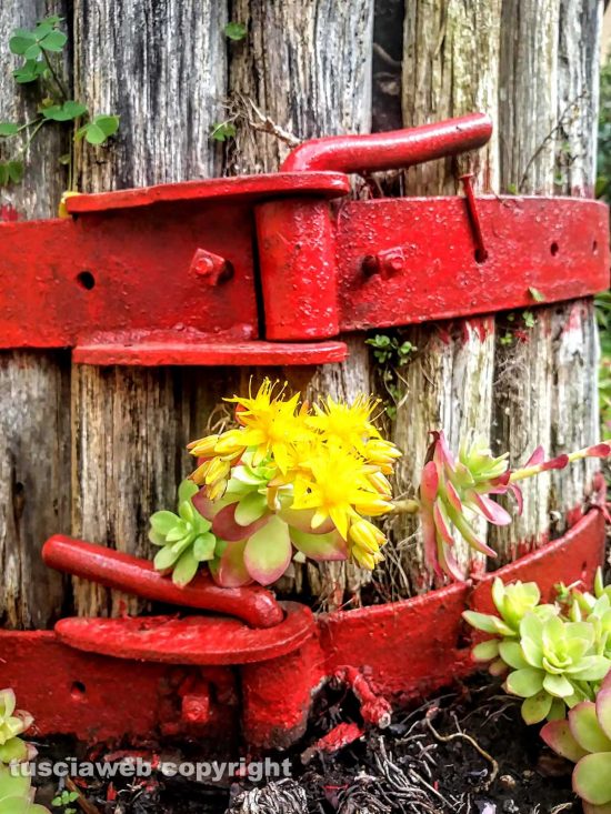 Torchio trasformato in fioriera
