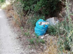 Rifiuti abbandonati in strada Riello
