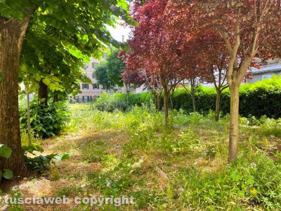 Viterbo - Il "giardino" del Pilastro