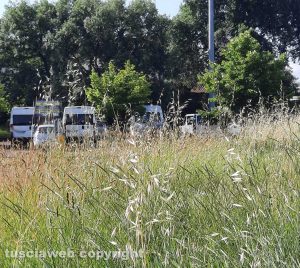 Viterbo - Erba alta al Riello