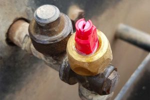 Cpn e Crea insieme per un'agricoltura sostenibile