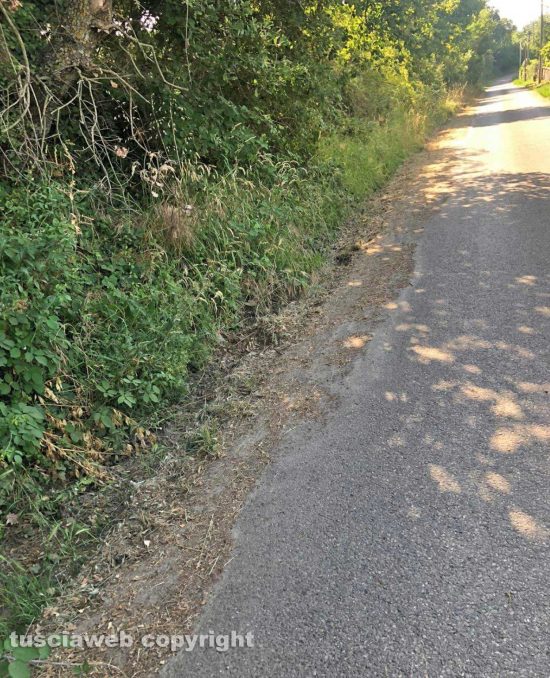 Viterbo - Cunetta otturata dall'erba in strada Costa Volpara