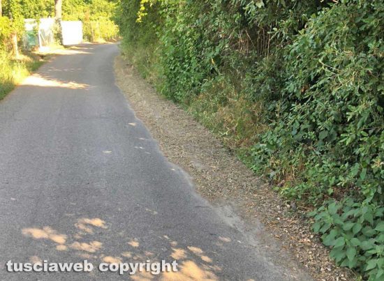 Viterbo - Cunetta otturata dall'erba in strada Costa Volpara