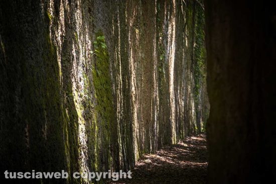 Le forre di Corchiano