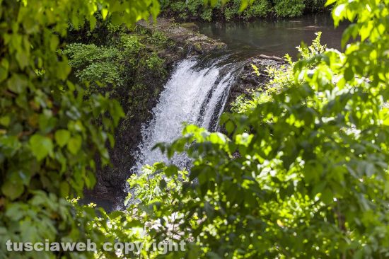 Le forre di Corchiano