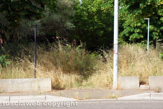 Viterbo - Il giardino della lettura dedicato ad Alessandro Vismara