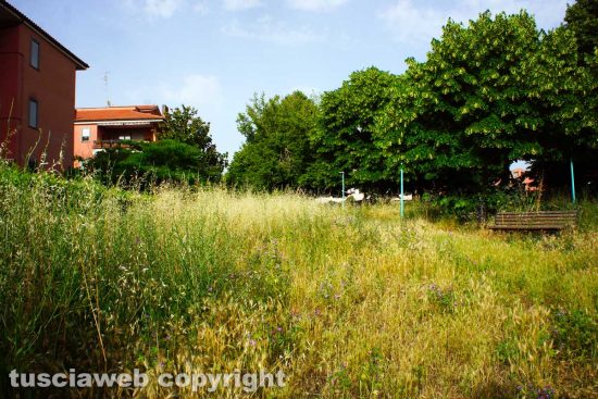 Viterbo - Il giardino della lettura dedicato ad Alessandro Vismara