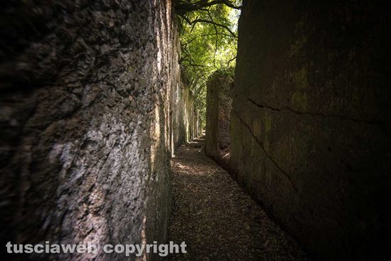 Le forre di Corchiano
