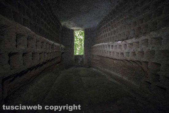 Blera - Il colombario