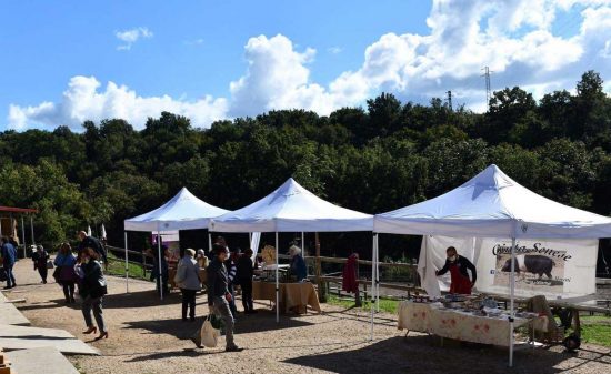 Viterbo - Riparte il mercato della terra di Slow food