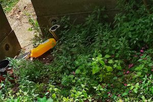 Vignanello - Incuria in centro