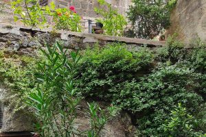 Vignanello - Incuria in centro