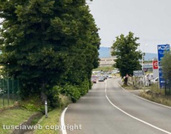Viterbo - Getti di alberi sulla Cassia Nord