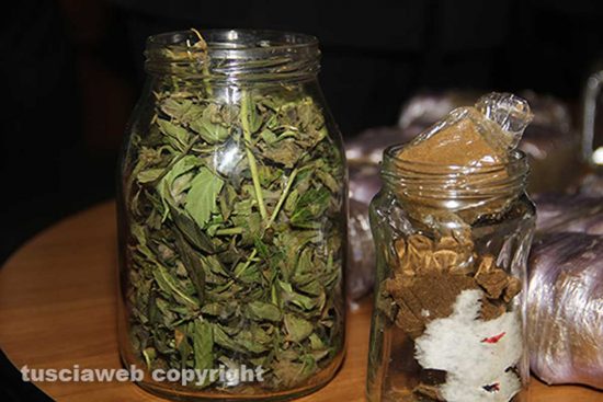 Bassano Romano - Parte della droga sequestrata