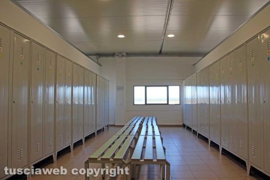 Viterbo - L'azienda agricola fratelli Calevi