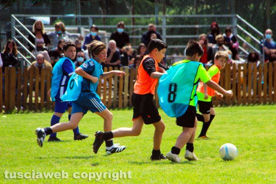Viterbo - Calcio dilettanti e settore giovanile