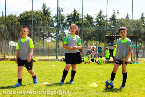Viterbo - Calcio dilettanti e settore giovanile