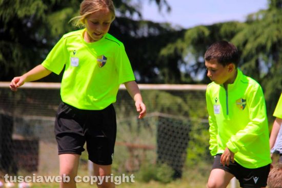 Viterbo - Calcio dilettanti e settore giovanile