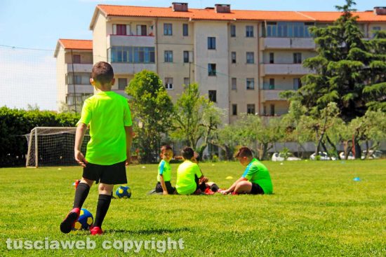 Viterbo - Calcio dilettanti e settore giovanile