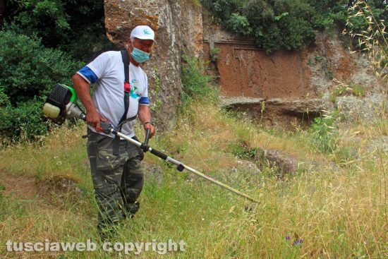 Viterbo - La Fai Cisl pulisce Castel d'Asso