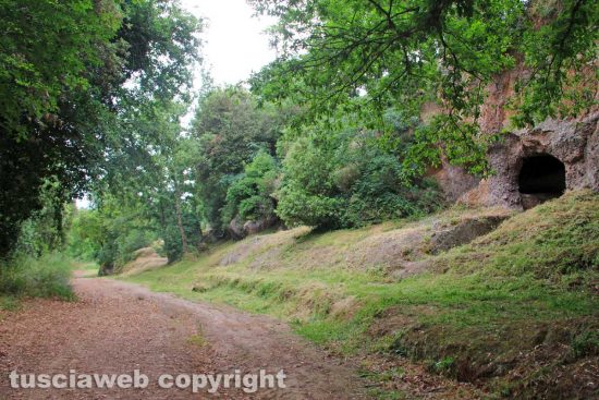 Viterbo - La Fai Cisl pulisce Castel d'Asso