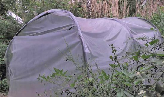 Viterbo - Coltivava 12 piante di marijuana in una serra