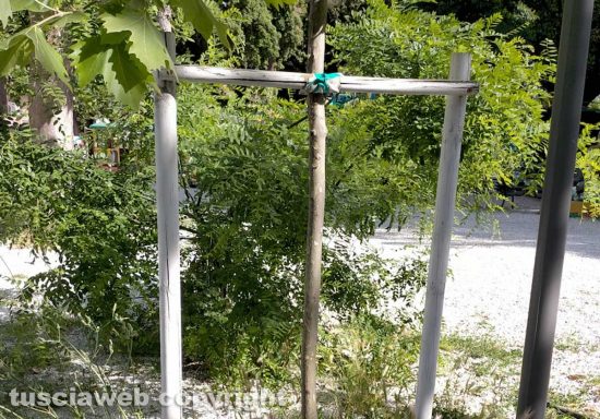 Schermata-2021-06-04-alle-18.41.07