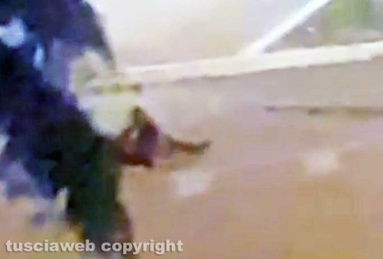 Schermata-2021-06-14-alle-23.57.51