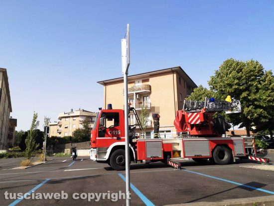 Viterbo - Vigili del fuoco e apicoltori in via Garbini