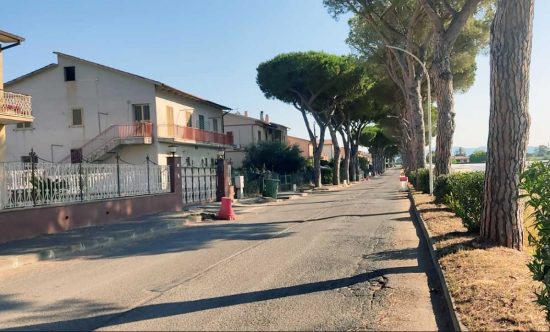 Pescia Romana - Viale dei Pini