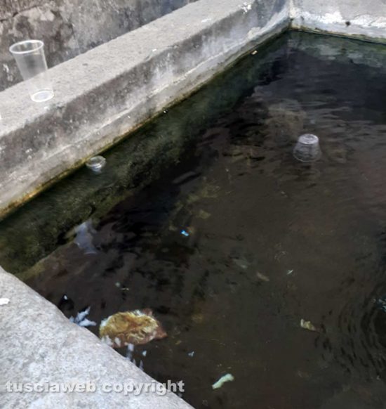 Viterbo - Bottiglie e bicchieri abbandonati nel centro storico