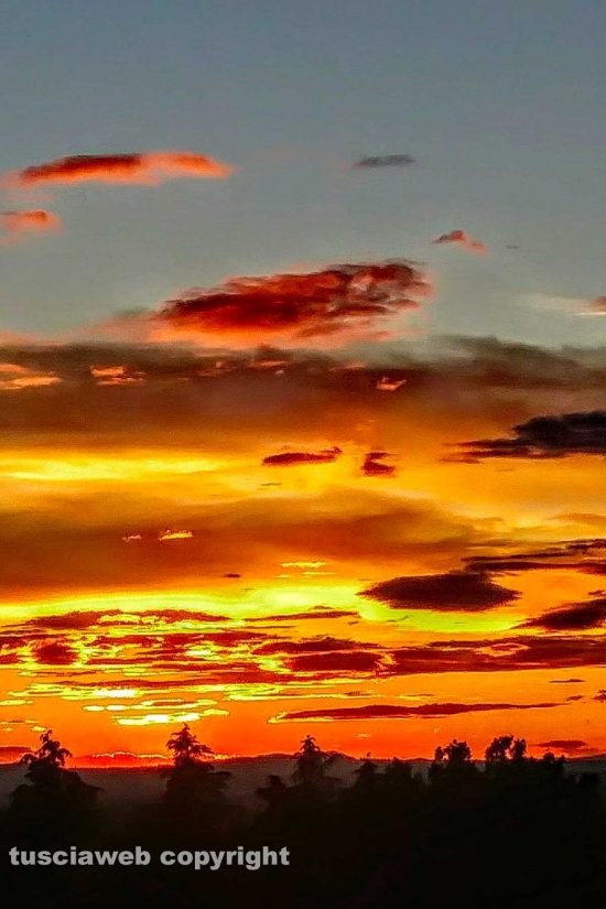 WhatsApp-Image-2021-06-01-at-13.35.08-(1)