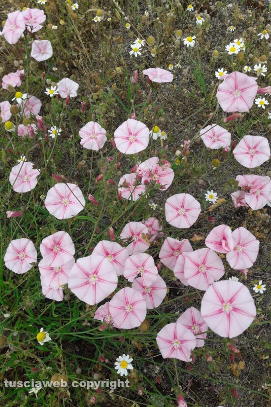 WhatsApp-Image-2021-06-02-at-15.09.31-(1)