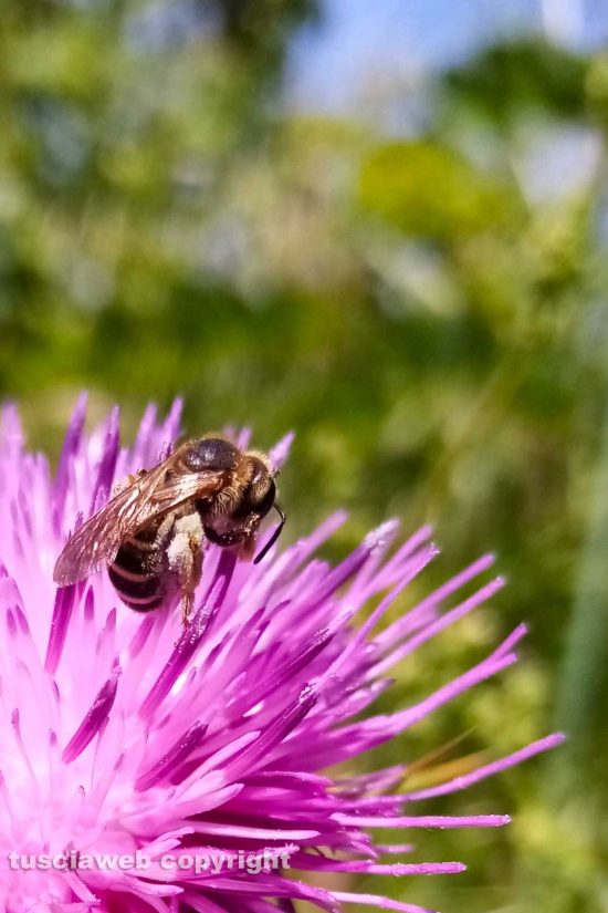 WhatsApp-Image-2021-06-07-at-14.14.01-(1)