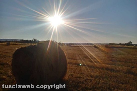 WhatsApp-Image-2021-06-07-at-20.31.38