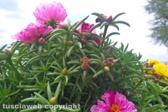 WhatsApp-Image-2021-06-08-at-14.00.49