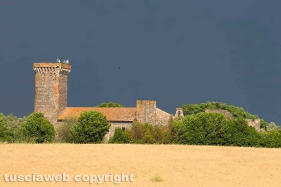 WhatsApp-Image-2021-06-09-at-20.16.52